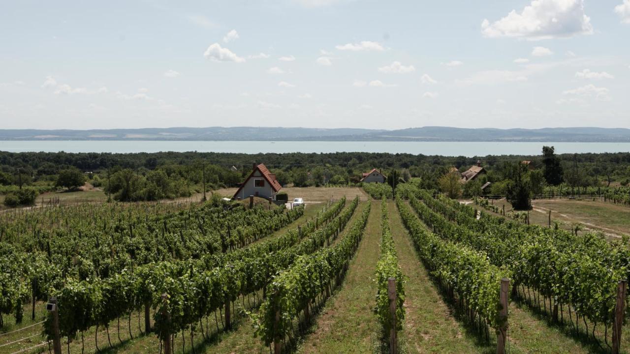 Fuerjes Udvarhaz Vászoly Exterior photo